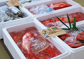 鮮魚売場