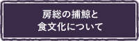 房総の捕鯨と食文化について